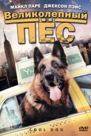 Великолепный пес 